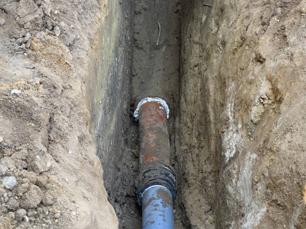 Best Local water damage restoration  in White House Station, NJ