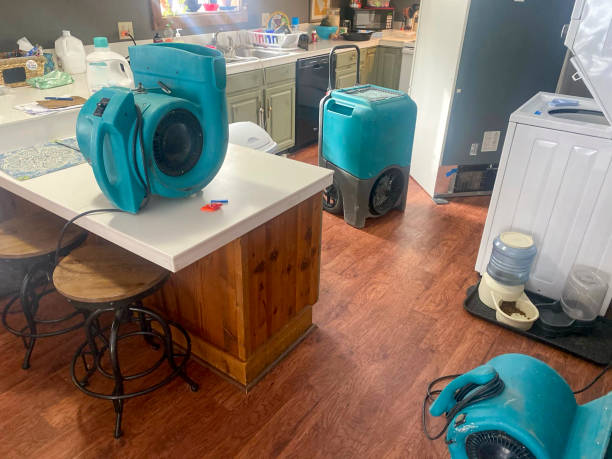 Best Carpet water damage restoration  in White House Station, NJ