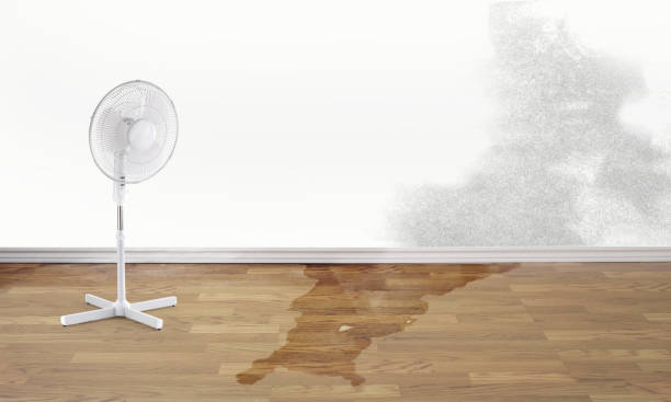 Best Water damage restoration near me  in White House Station, NJ
