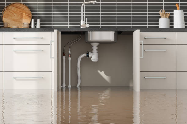 Best 24-hour water damage restoration  in White House Station, NJ