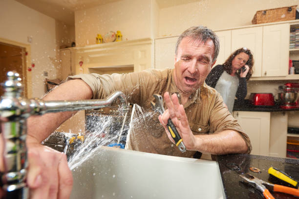 Best Flooded house restoration  in White House Station, NJ